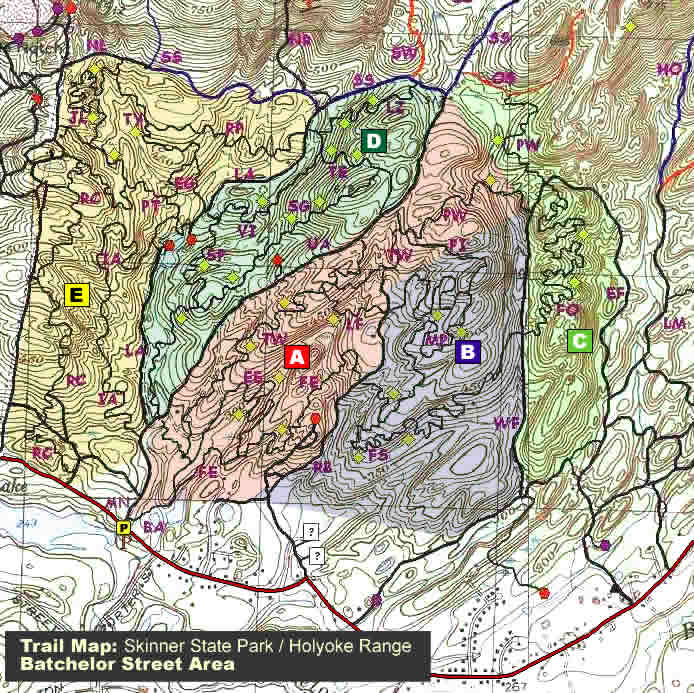Batchelor Street - Holyoke Range, MA
