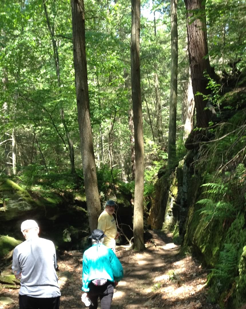 Mossy Cliffs