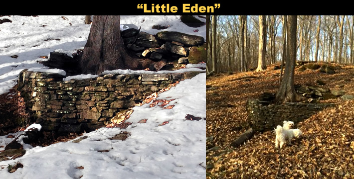 Little Eden