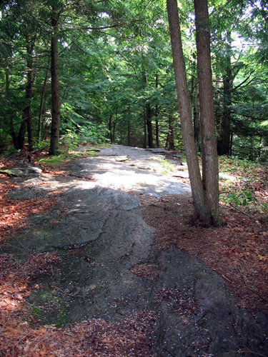 Slab Rock Trail In the Sun