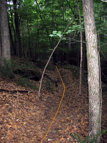 Trail From Whitney Parking Lot