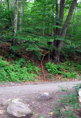 Trail From Whitney Parking Lot