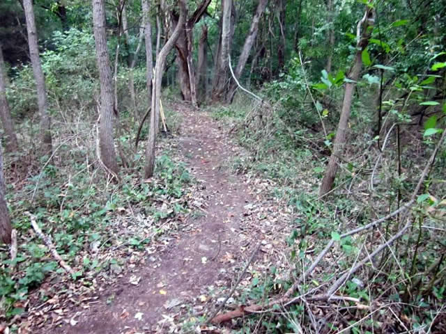 North Bridge Connector