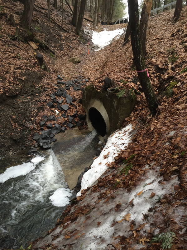 Ballston Creek Crossing