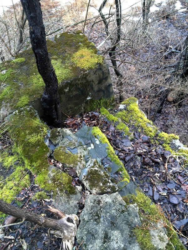 Mossy Ruins