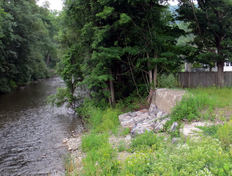 candor bride abutmen