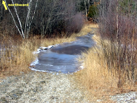 Ice Pond in Basin