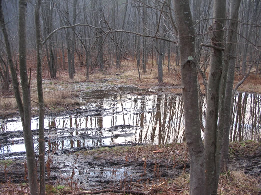 Mudhole Water Flow