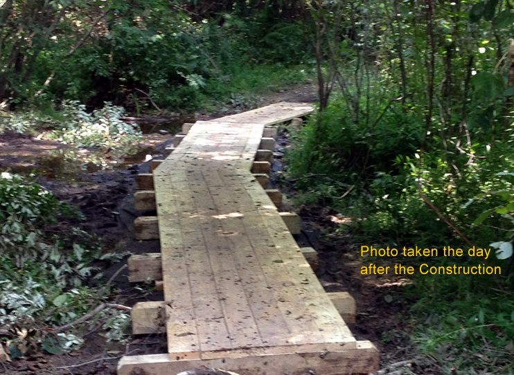 Boardwalk (Day After Diew)